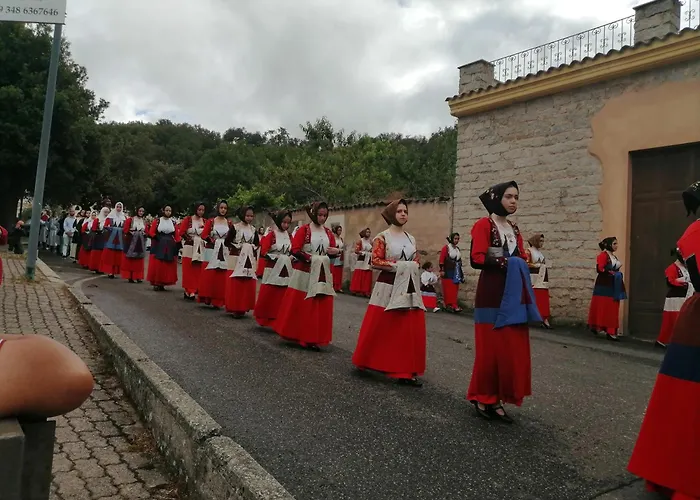 L Agrifoglio Di Rita Loddo