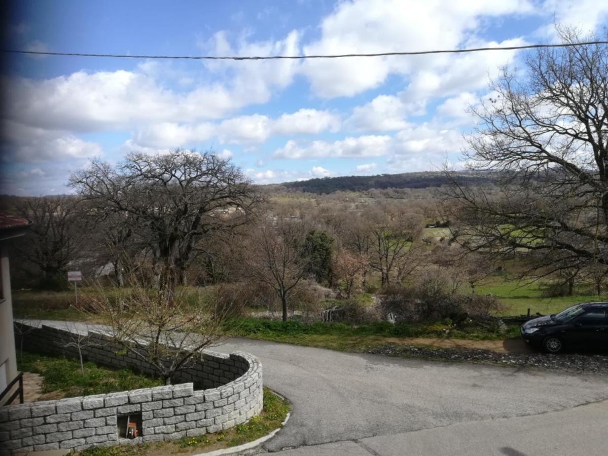 L Agrifoglio Di Rita Loddo Apartment