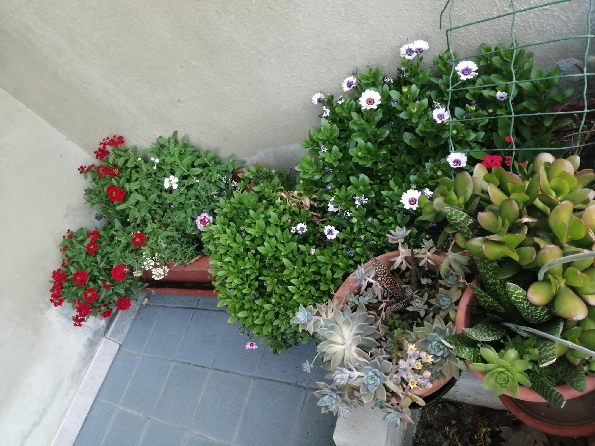 L Agrifoglio Di Rita Loddo Apartment Fonni
